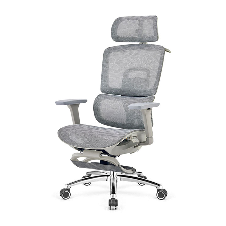 Ergonomics Chair